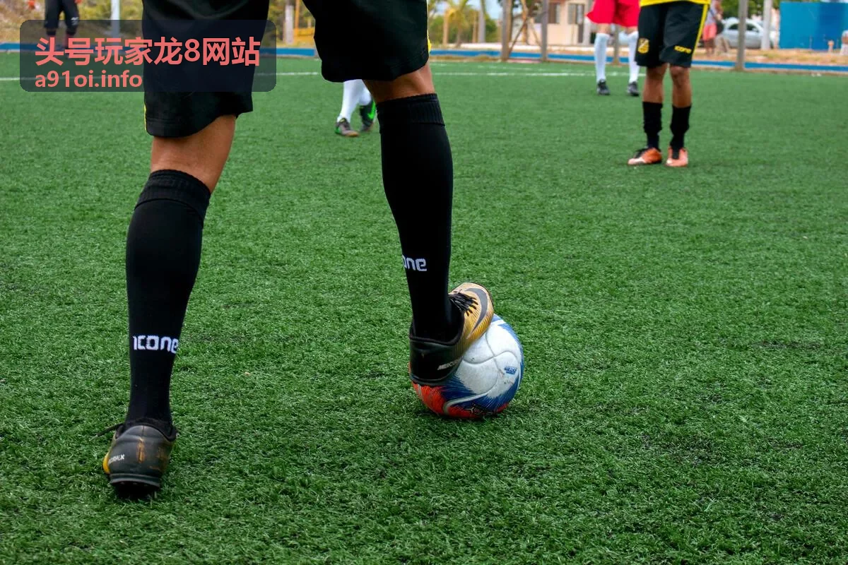 邮件订阅摘要-头号玩家龙8网站开播提醒